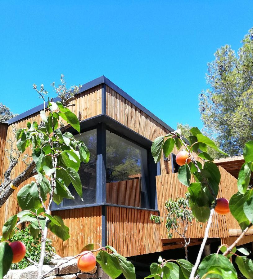 Villa Occitana Calvisson Exterior photo
